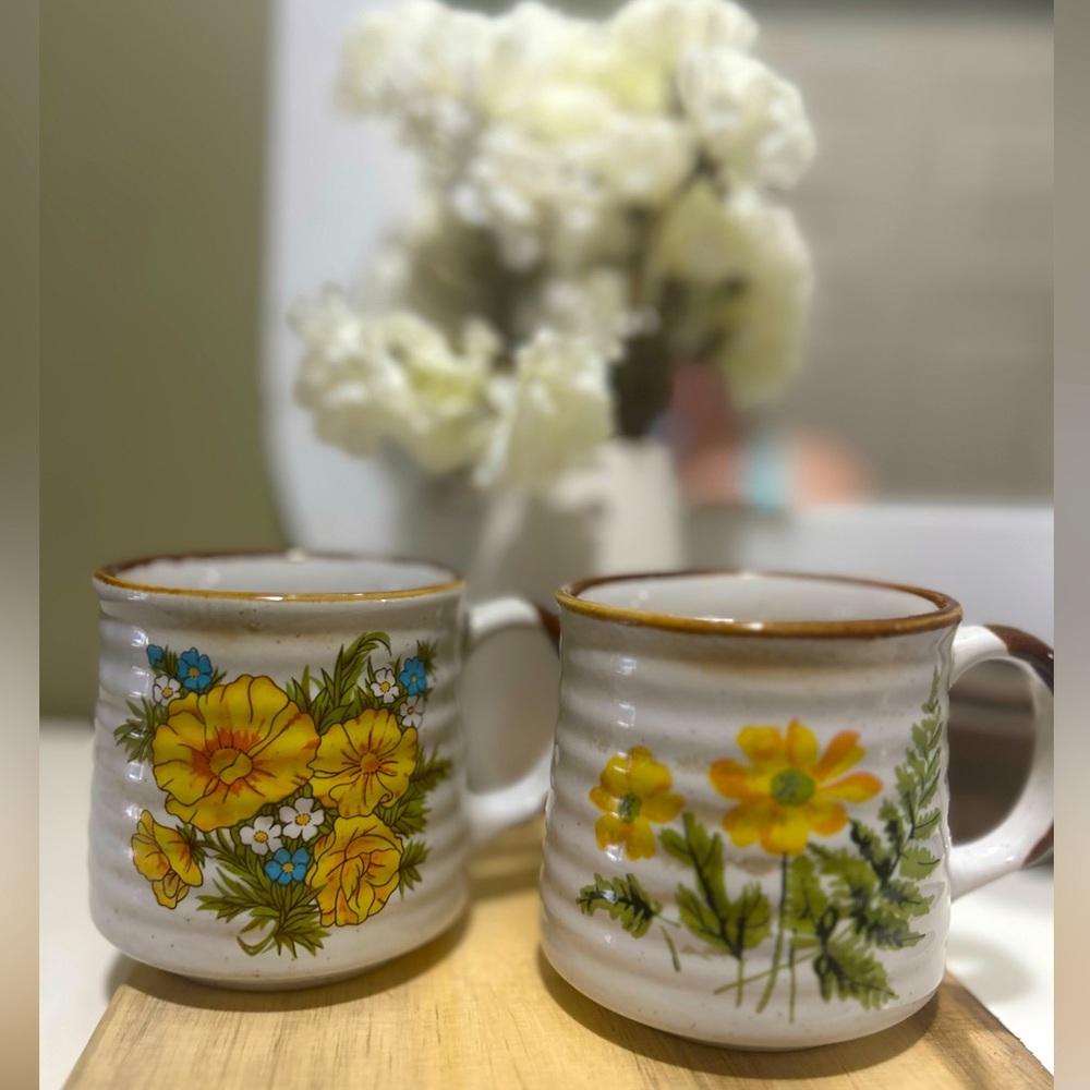 🌼Set of Delightful Vintage Mugs 🌼